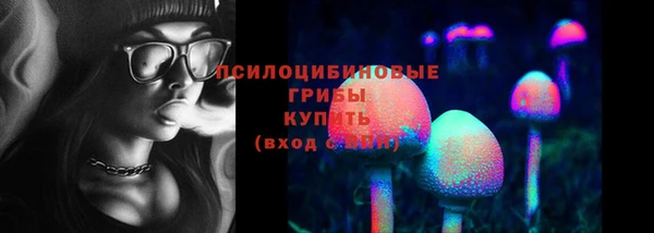стафф Медногорск