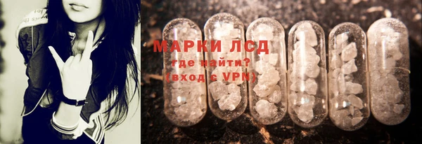 стафф Медногорск