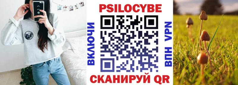 Галлюциногенные грибы прущие грибы Чебаркуль